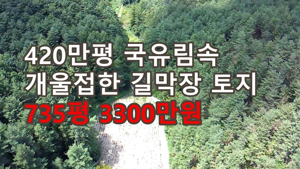 마을 끝자락 독립된 공간이 보장되는 휴식처 #영양부동산#싼땅#시골땅#촌땅#경북땅#자연인 토지