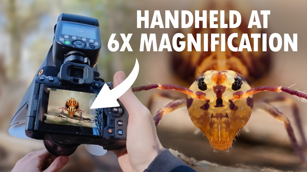 Makrofotografia z ręki przy takim powiększeniu nie powinna być możliwa (system OM 90 mm + Raynox ...