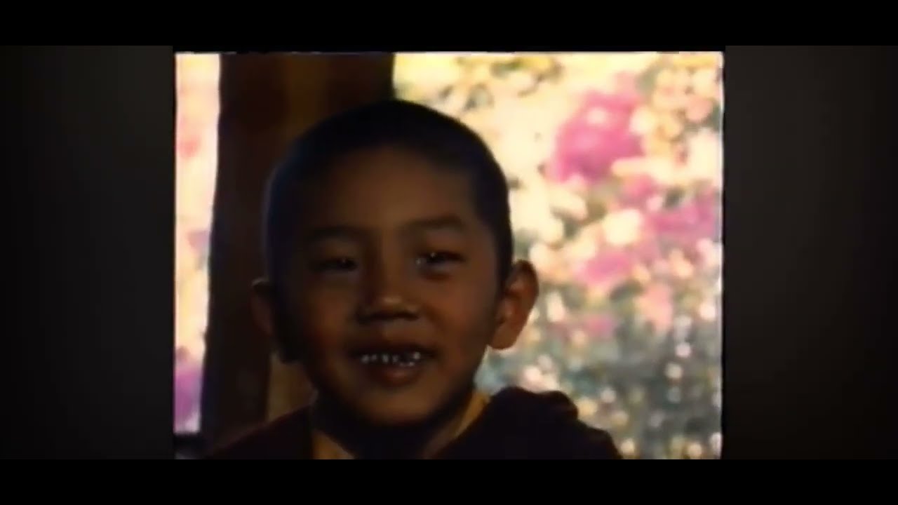 Young Trijang Rinpoche ཁྲི་བྱང་རིན་པོ་ཆེ།