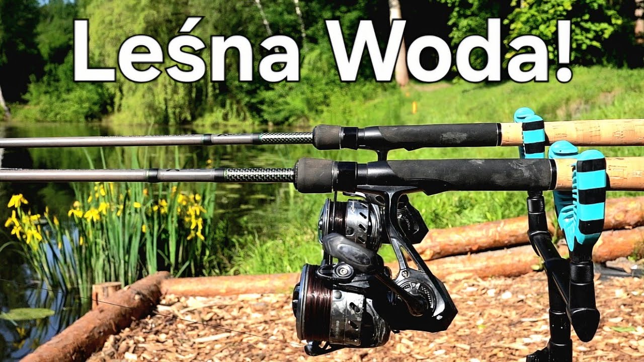 Ryby z Leśnego Stawu! Woda Schowana w Parku! Wędkarstwo Method Feeder na PZW