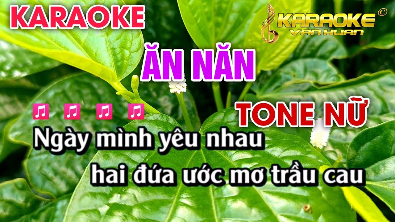 Ăn Năn | Karaoke Tone Nữ Beat Dễ Hát | Karaoke Văn Huấn Bolero