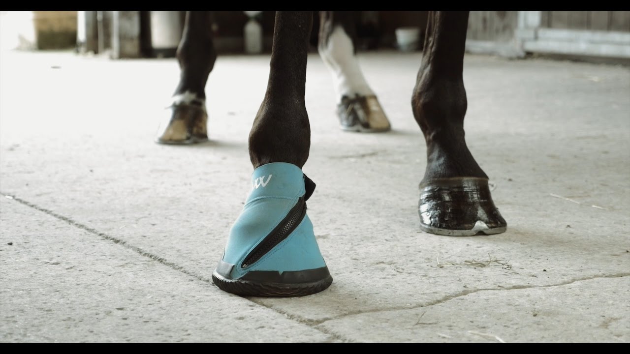 Woof Wear Medical Horse Poultice Hoof Boot - Introduction