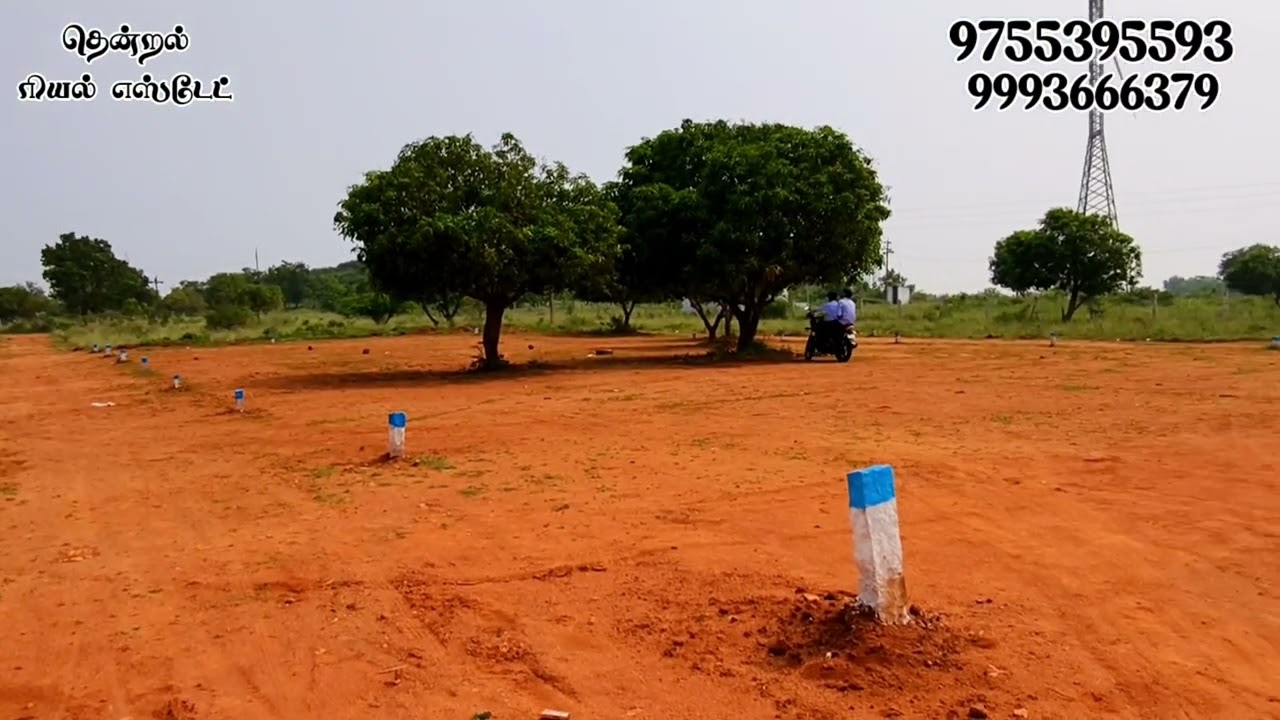 #தென்காசி || #புது பஸ்ஸ்டாண்ட் அருகில் மங்கம்மாள்சாலையில் 14 சென்ட் கார்னர் பிளாட் விற்பனைக்கு 👌🏻😍🏡🌴