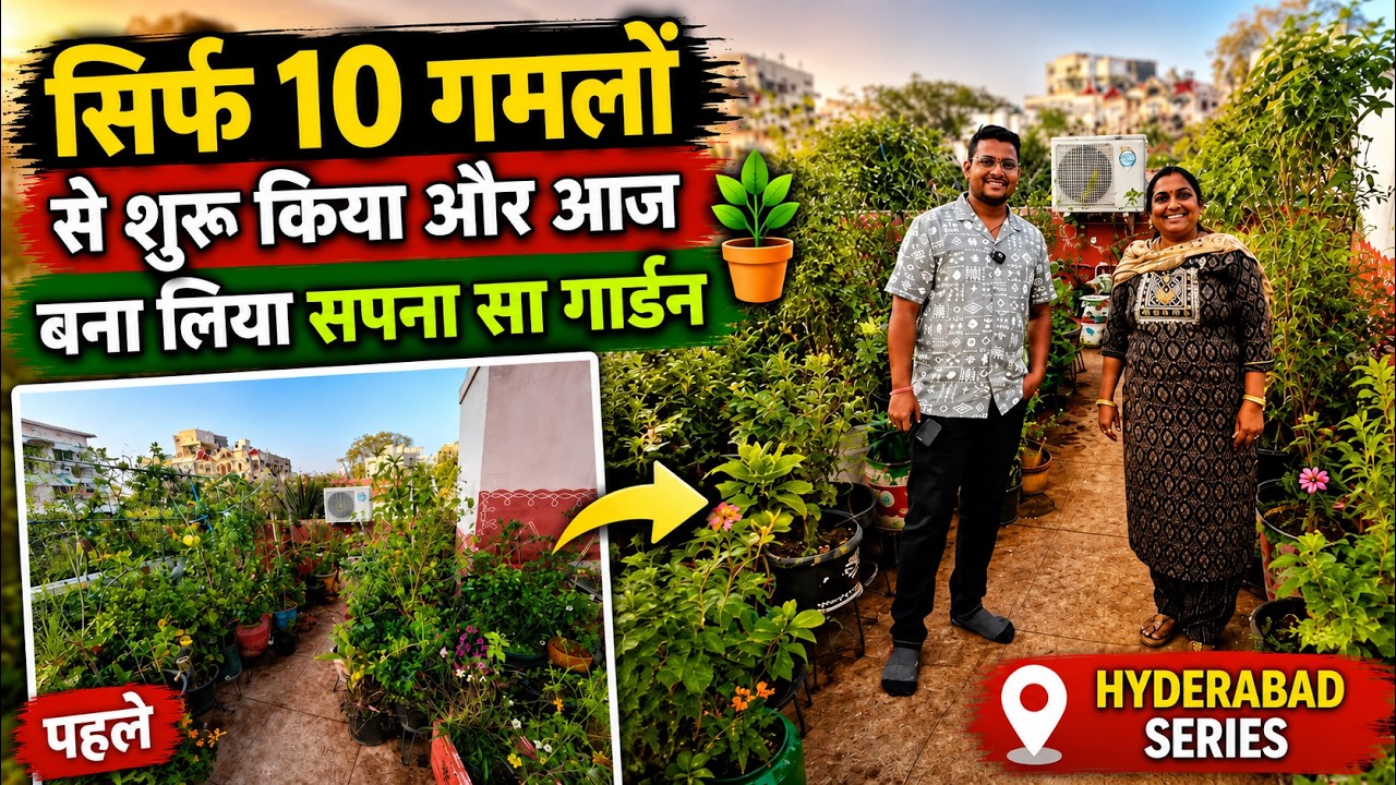 सिर्फ 10 गमलों से शुरू किया और आज बना लिया सपना सा गार्डन 🪴 Hyderabad Terrace Garden Tour 👌