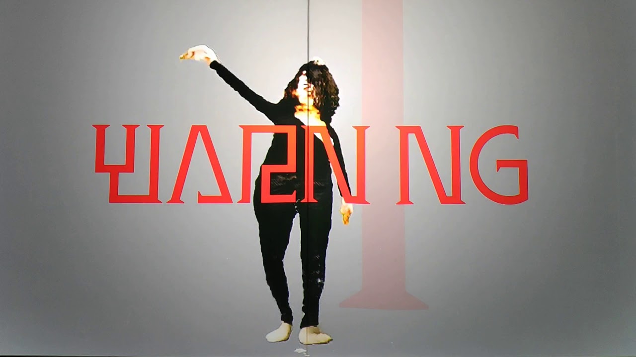 Hito Steyerl - This is the Future - Biennale Arte 2019