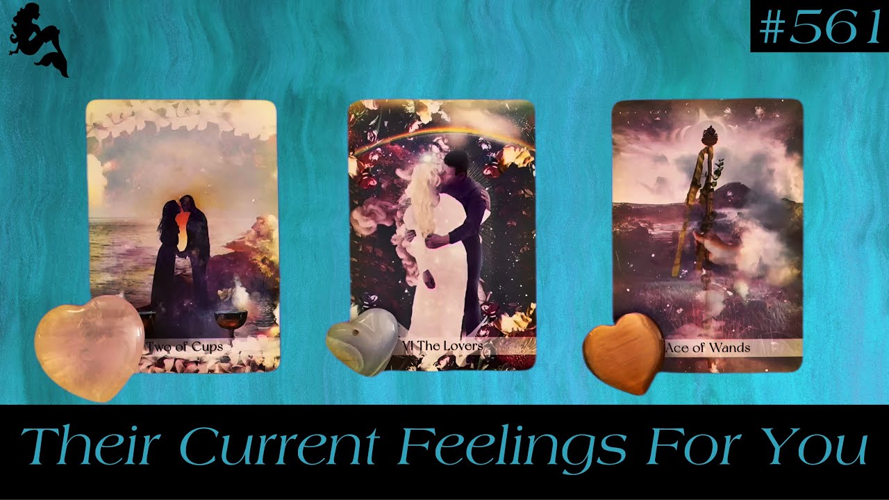 Their Current Feelings For You😍💖💌 ~ Pick a Card Tarot Reading