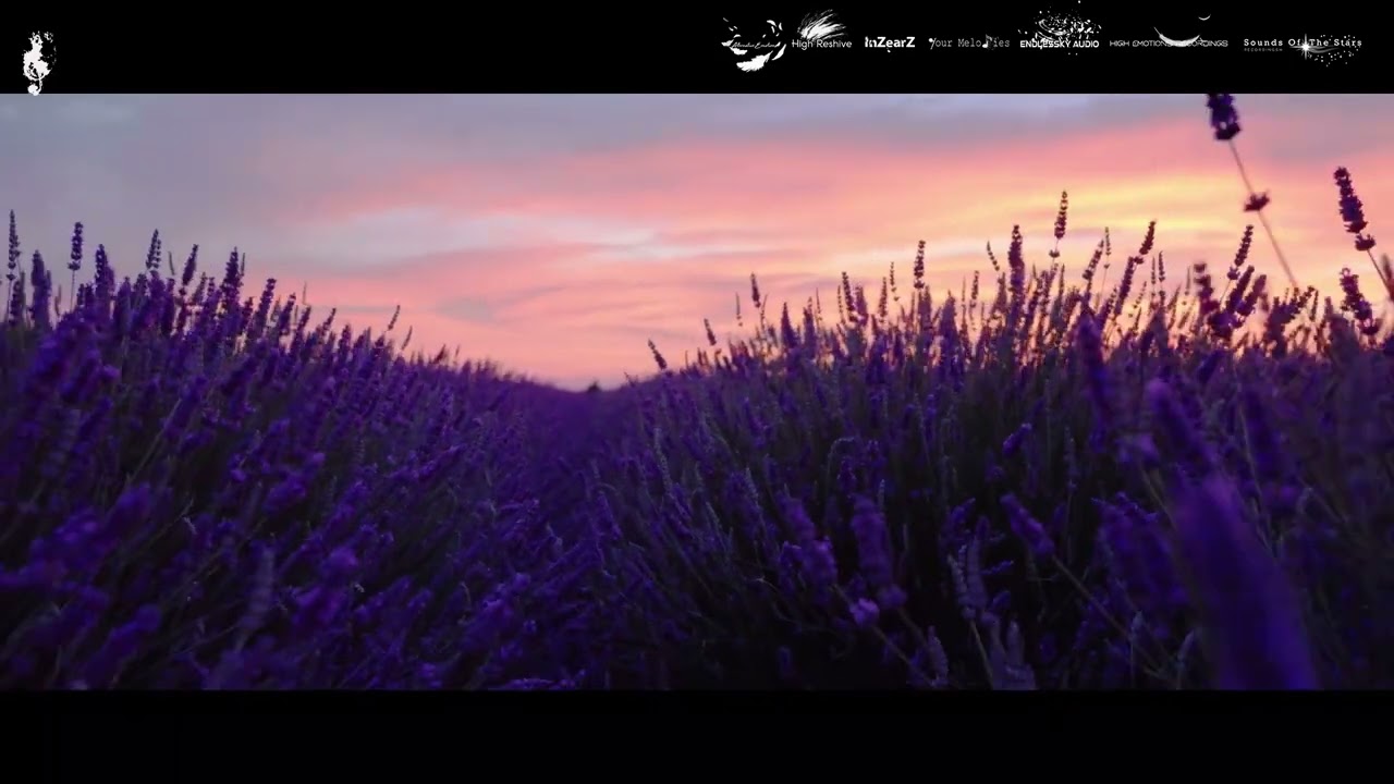 L1mixe & Freelife - Eternal Violets (Sounds Of The Stars Recordings) Emotional Trance