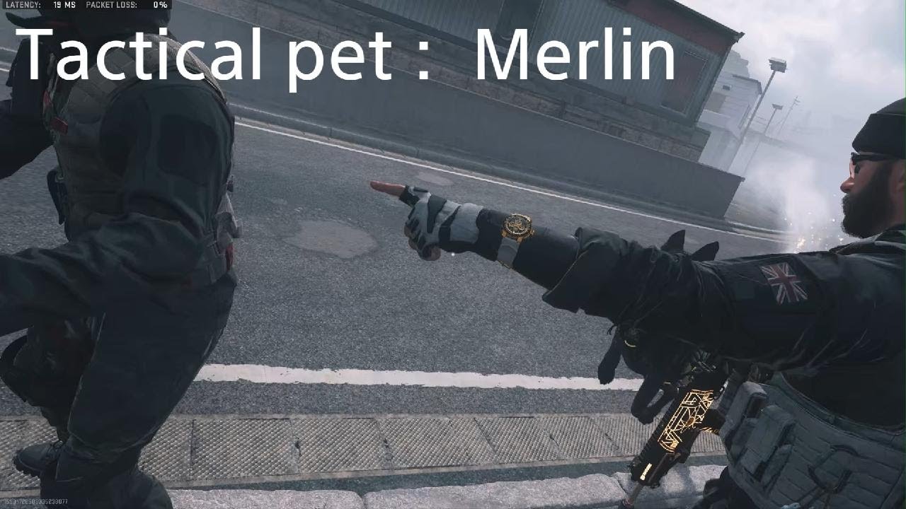 Tactical pet : Merlin Finisher series # 6