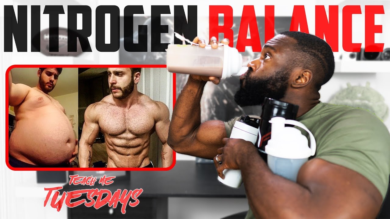 Eat More Protein to Build Muscle & Burn Fat at the Same Time
