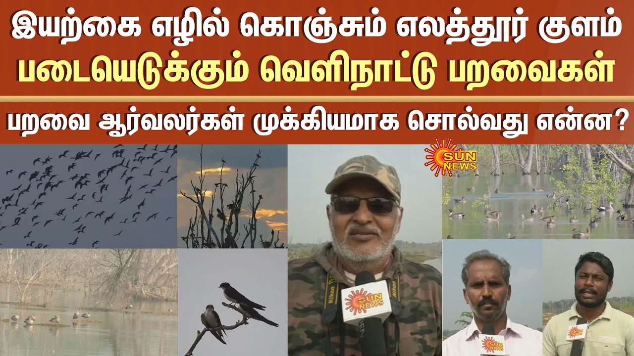 Elathur Periyakulam Lake | Biodiversity Heritage Site | Erode | Foreign Birds | Animals | Sun News