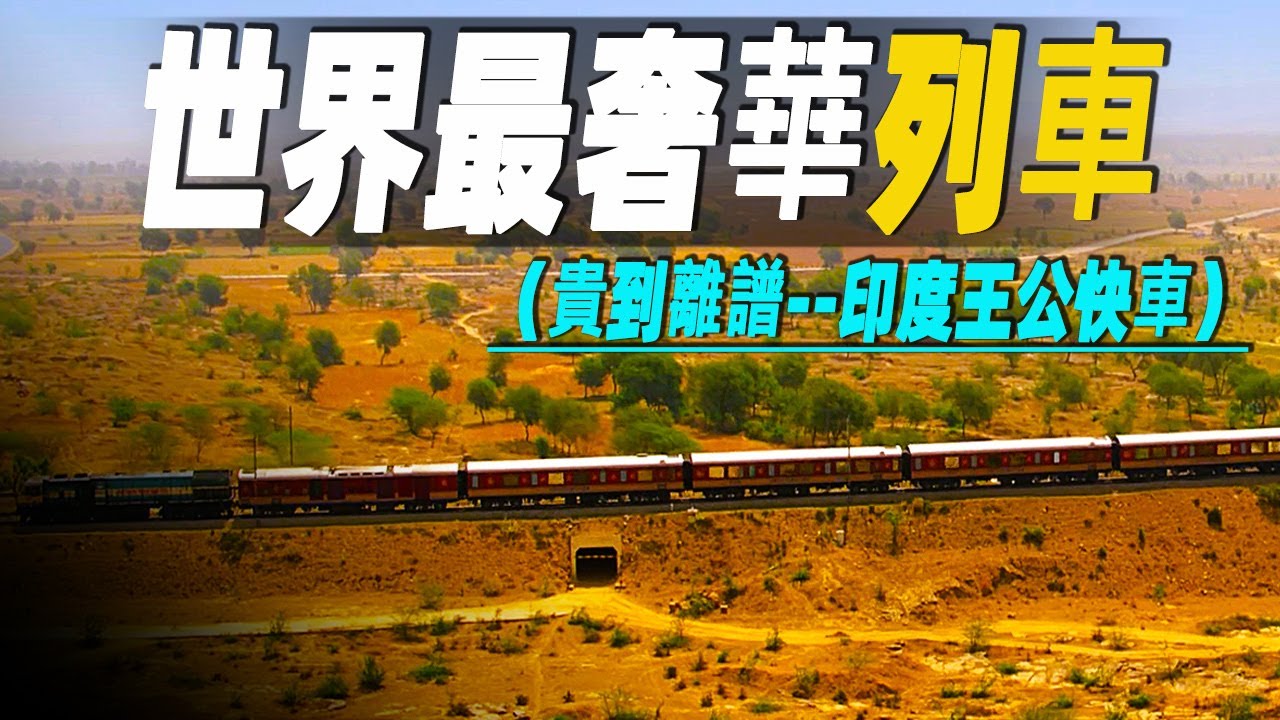 走進印度最奢華的列車，單人票價貴到離譜的24000美元，沿途更有離譜驚掉下巴的景點  #大脑洞记事
