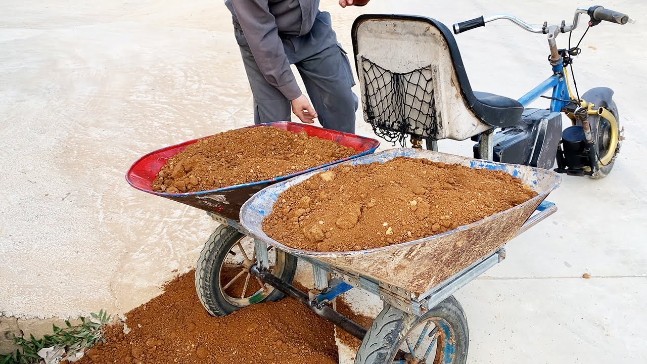 Einzigartige Idee: Elektrisches Schildkr&ouml;tenauto