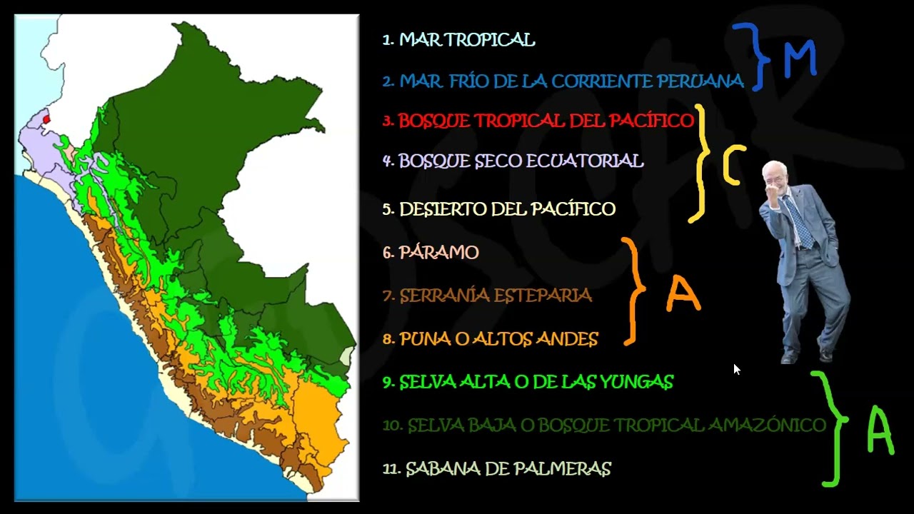 Once Ecorregiones del Perú