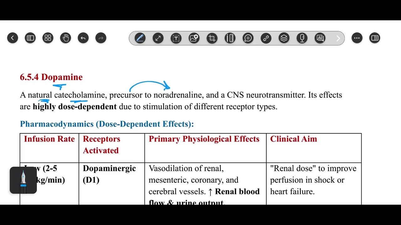 4. Sympathomimetics #2