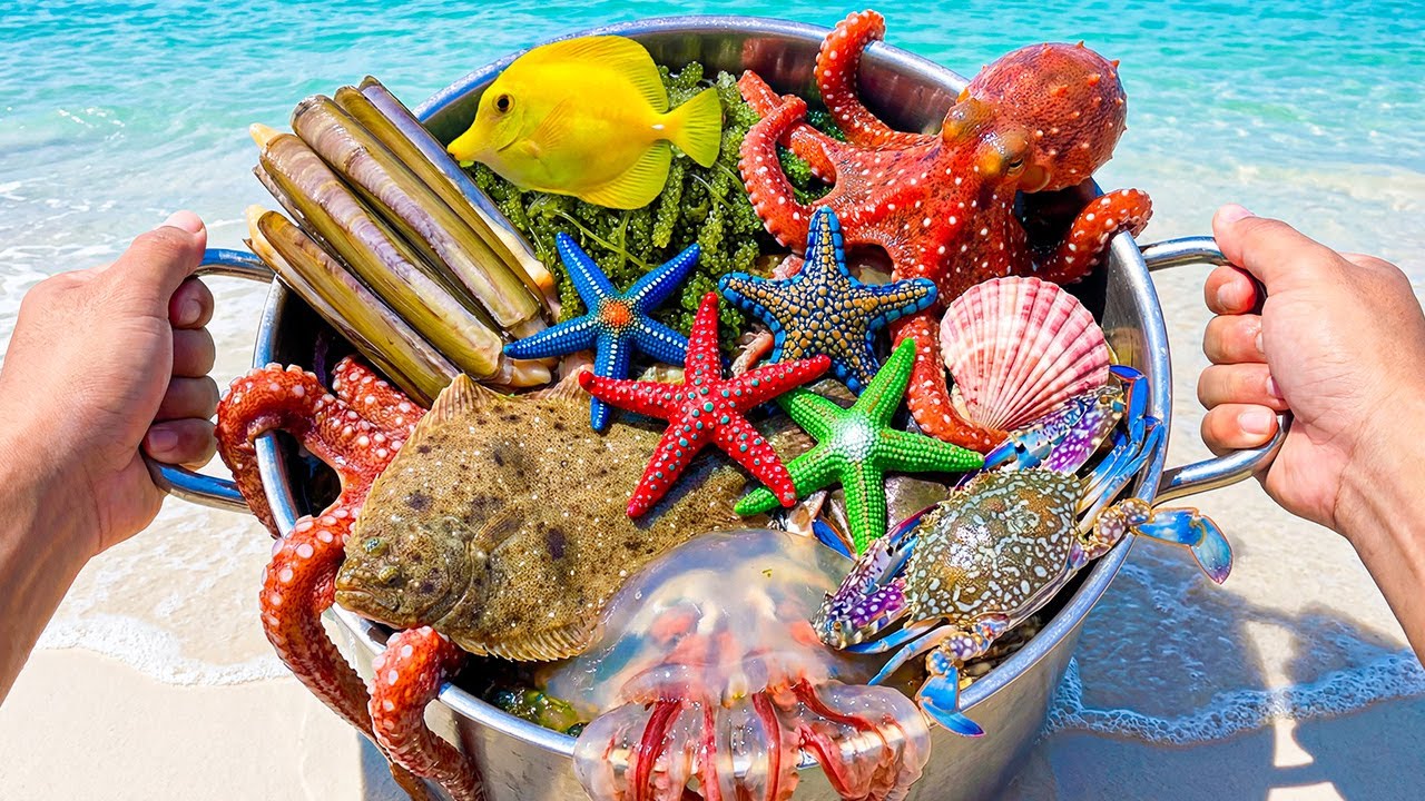 Ловля камбалы 🐟, кальмара 🦑, осьминога 🐙, белой медузы 🤍🪼, морских крабов 🦀, морских гребешков 🐚,...