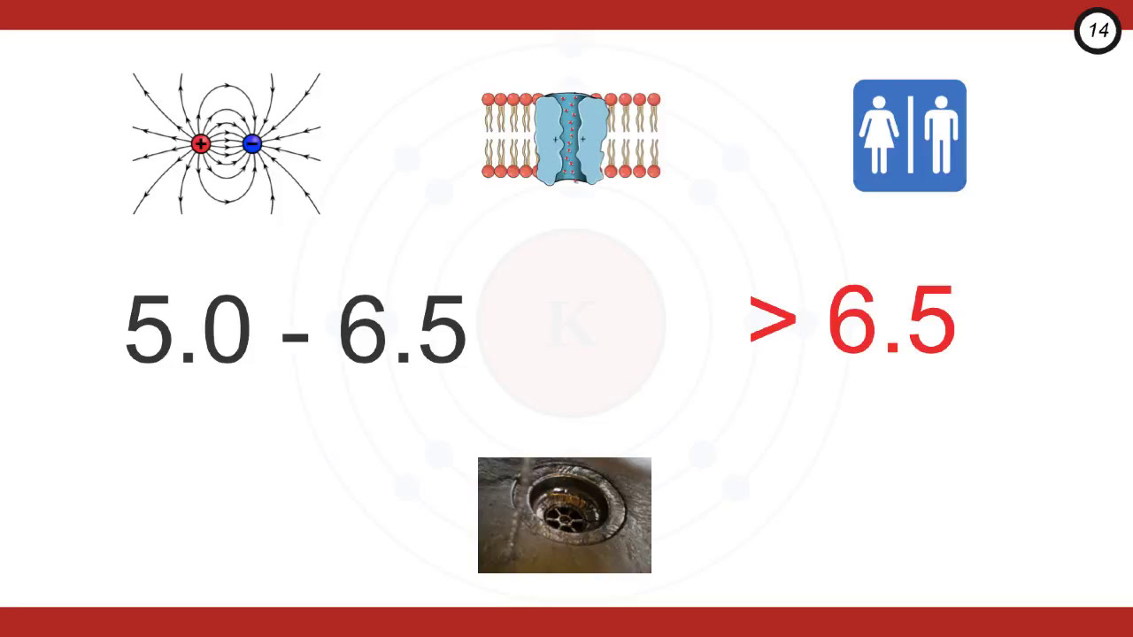 Экстренное лечение гиперкалиемии (часть 2)