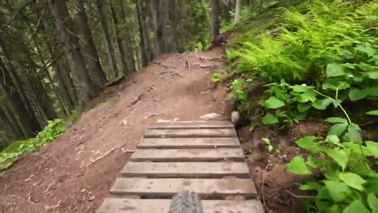 Fleckalm Trail