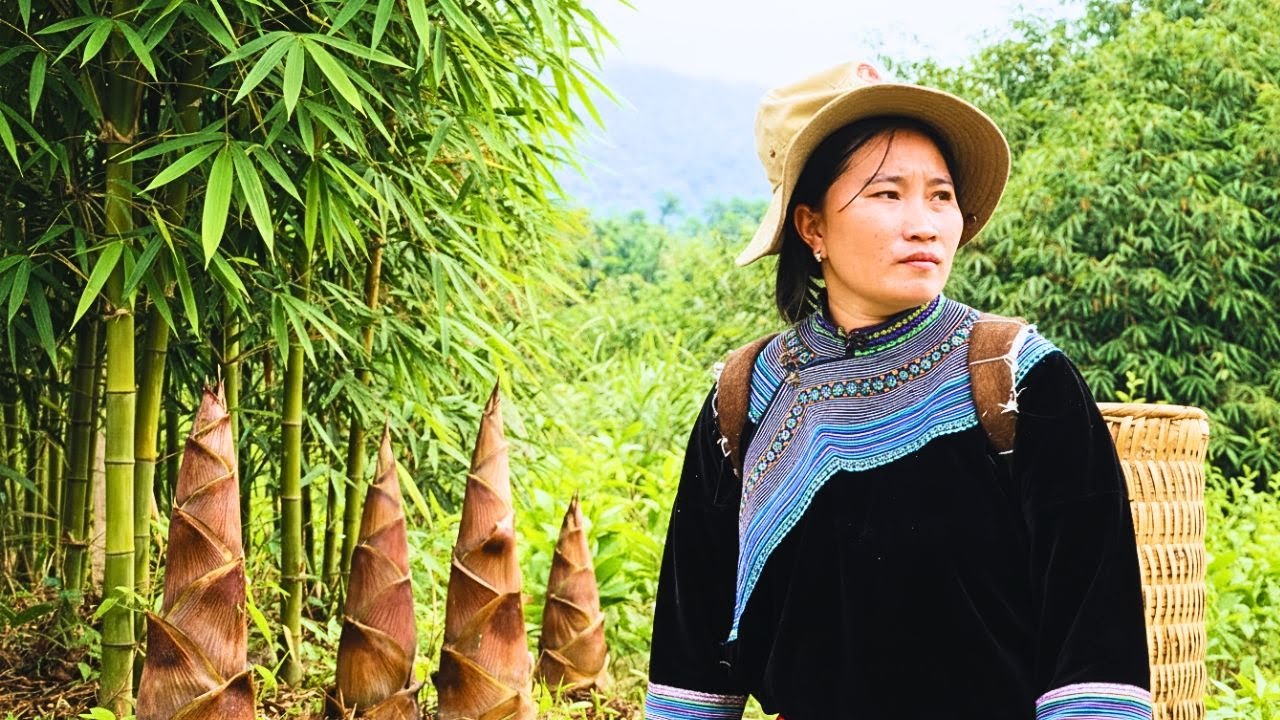 Mlo Risked Going Into the Forest for Bamboo Shoots — The Meal at the End Was Worth It