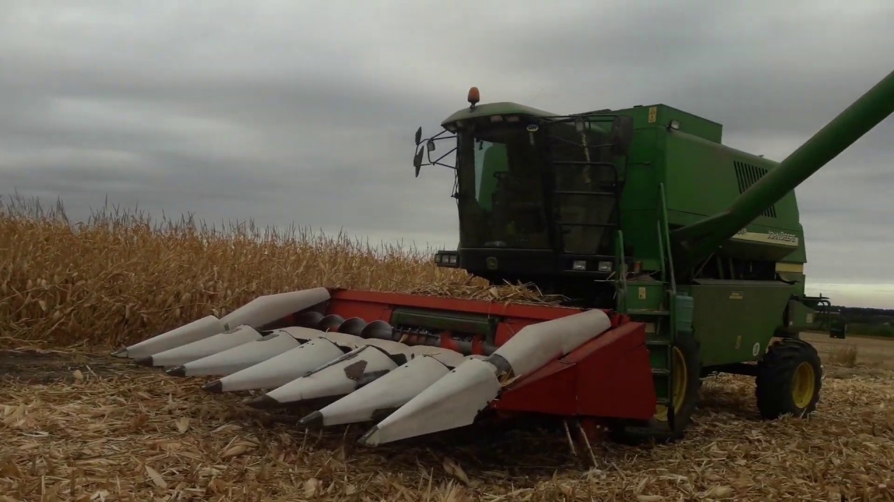 Уборка кукурузи 2019