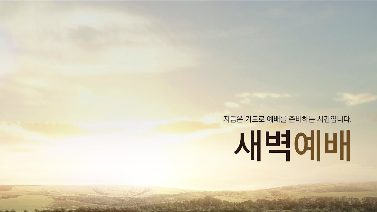 [번영로교회] 26.2.24. 새벽기도회 [열왕기상 6장] | 주인백 목사