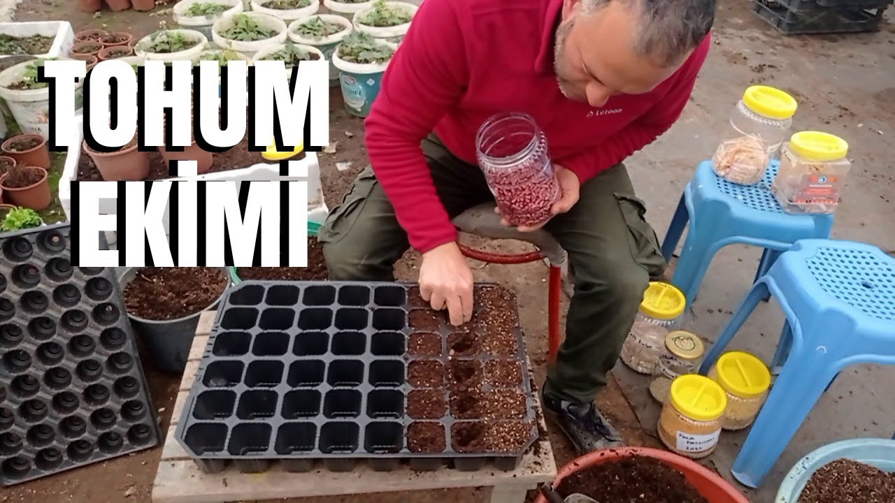 Tohum Nasıl Ekilir? Detaylı Anlatım