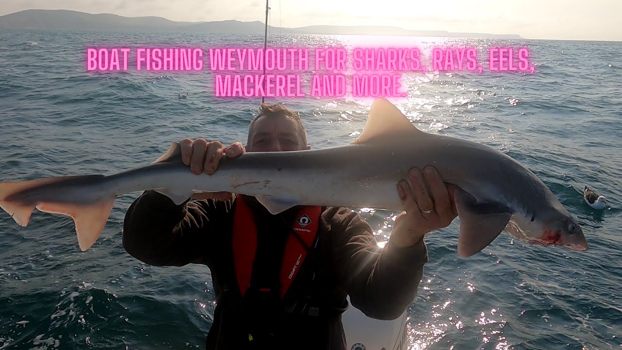 Boat fishing off Weymouth for sharks, Rays, mackerel and more. #fishing #seafishing #shark