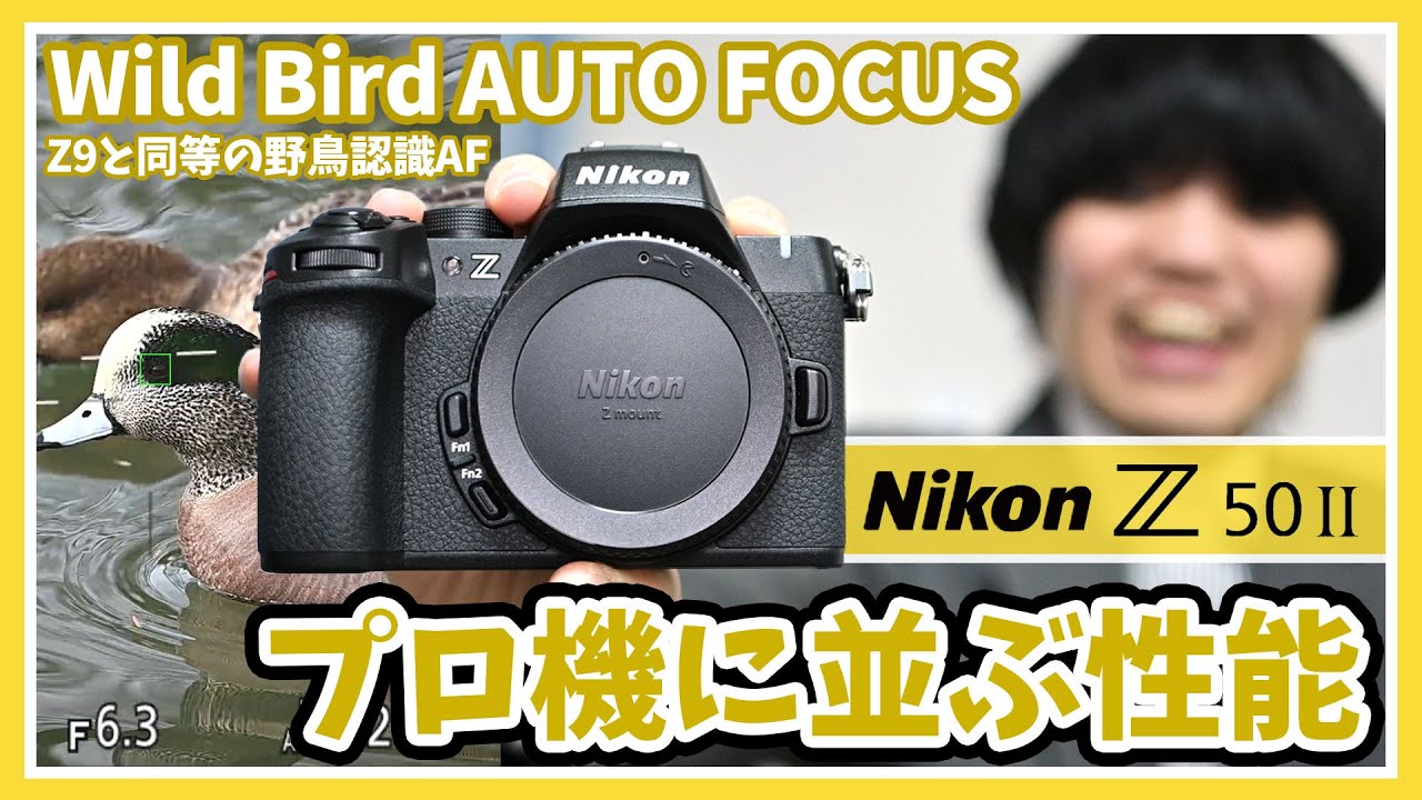 [驚愕] Nikon Z50II のAF性能はZ8,9とほぼ同じ！野鳥認識が超優秀！(ただしプロ機と明らかな違いも有り)