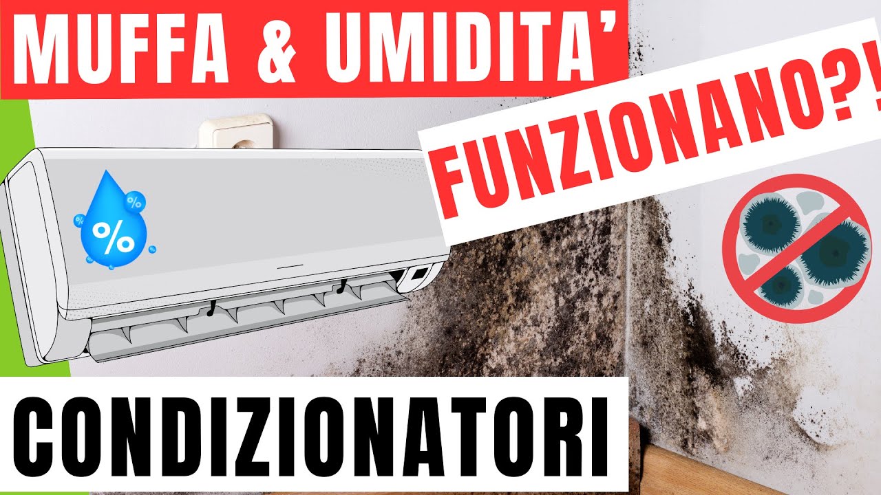 DEUMIDIFICARE e prevenire la MUFFA con il CONDIZIONATORE è Possibile?