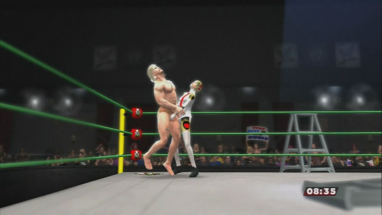 WWE 2k14 Intergender TLC/Ladder match: 