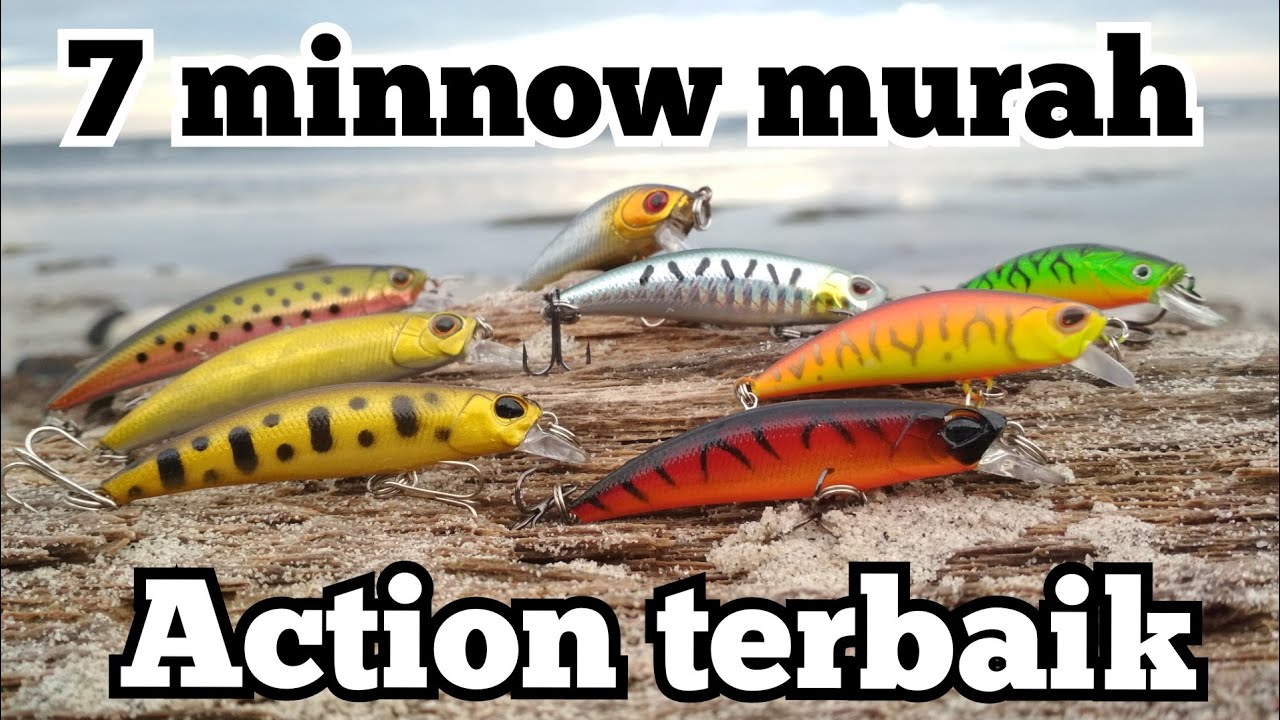 7 minnow murah action terbaik