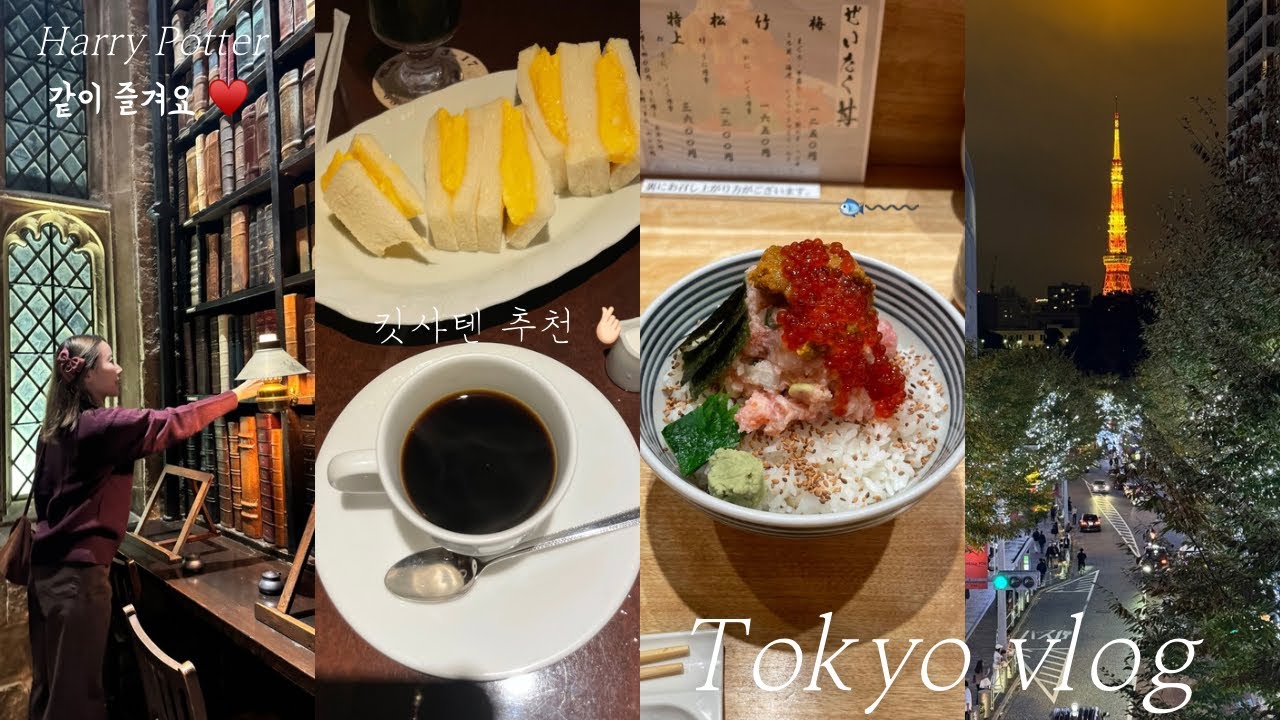 도쿄 해리포터 유니버셜 ✨ 킷사텐 오므라이스 , 카이센동 🐟 맛집 추천 ✨ 롯폰기 일루미네이션 🗼