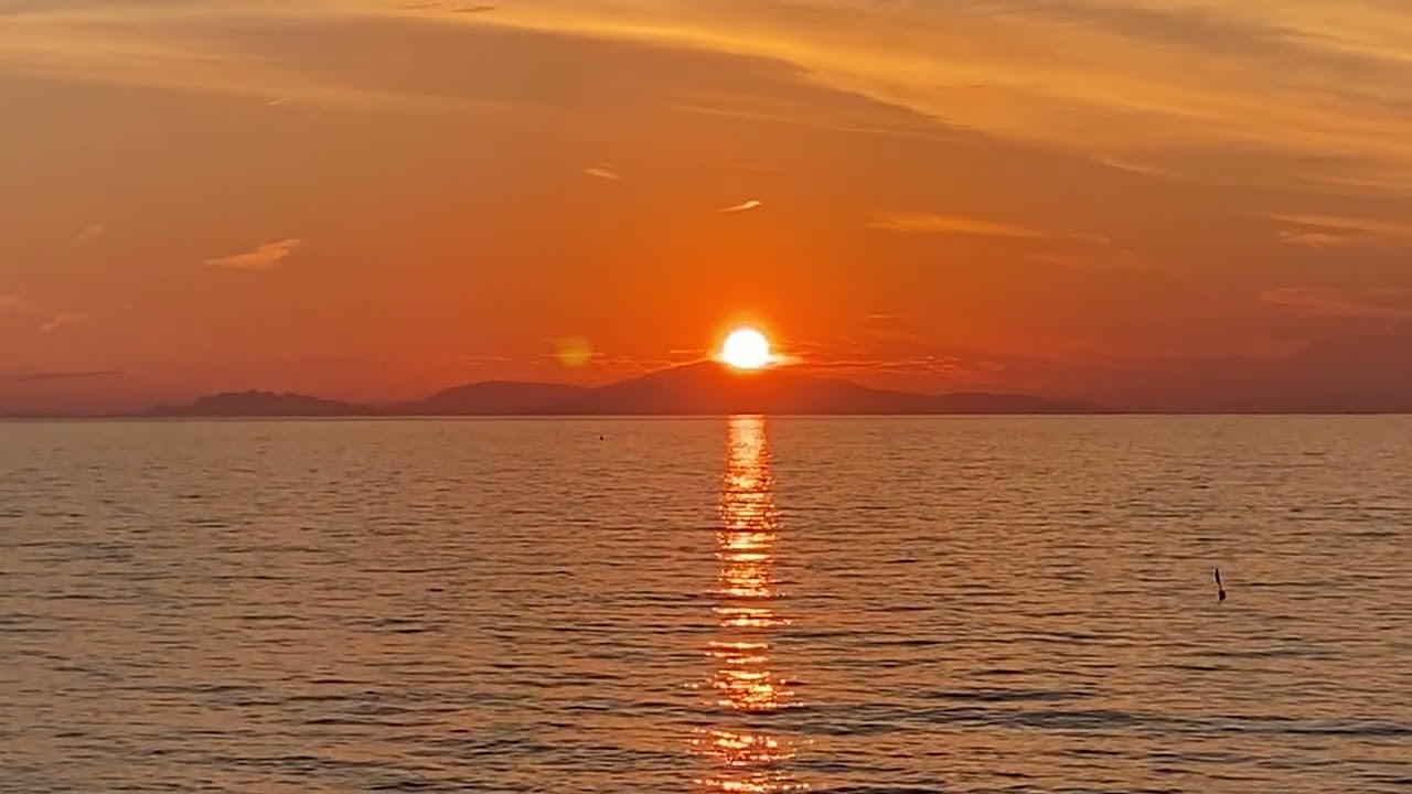 inner flowers/ひかりのおと✨/Anahata ❹ chakura #healingmusic #chakrahealing #sitar #宇宙音楽 