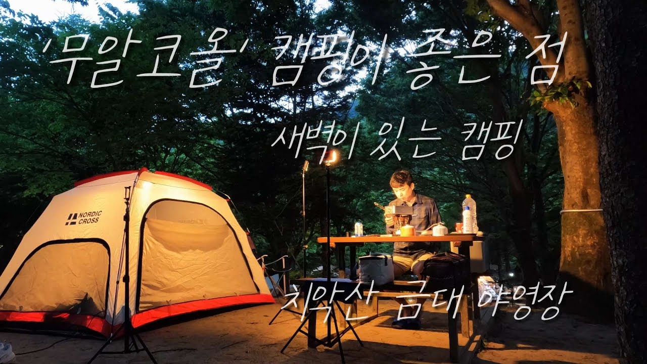 ep.48  '무알코올' 캠핑, 캠핑장에서 술을 안 마시면 좋은 점! 새벽이 있는 캠핑 (feat. 치악산 금대야영장)