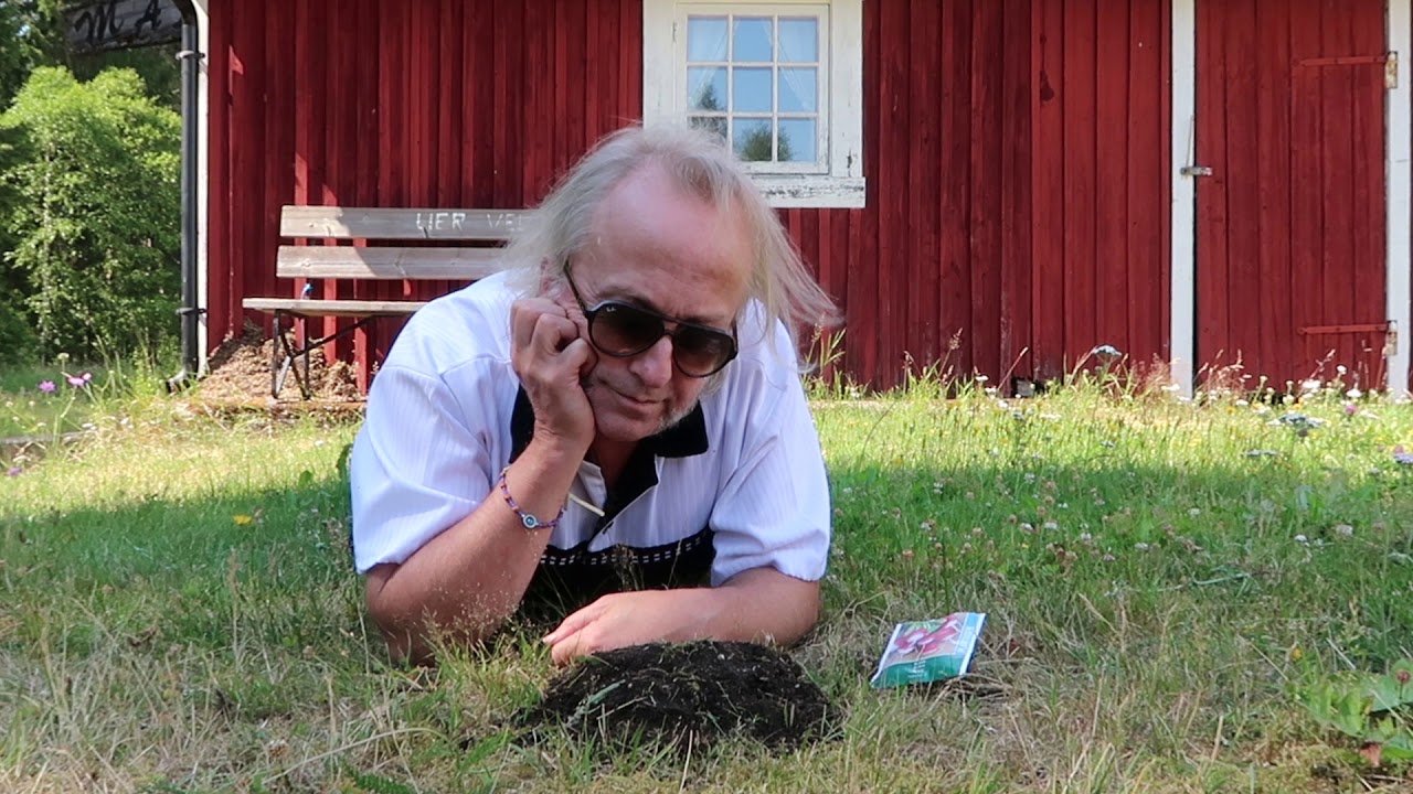 Levi Henriksen & Babylon Badlands: 