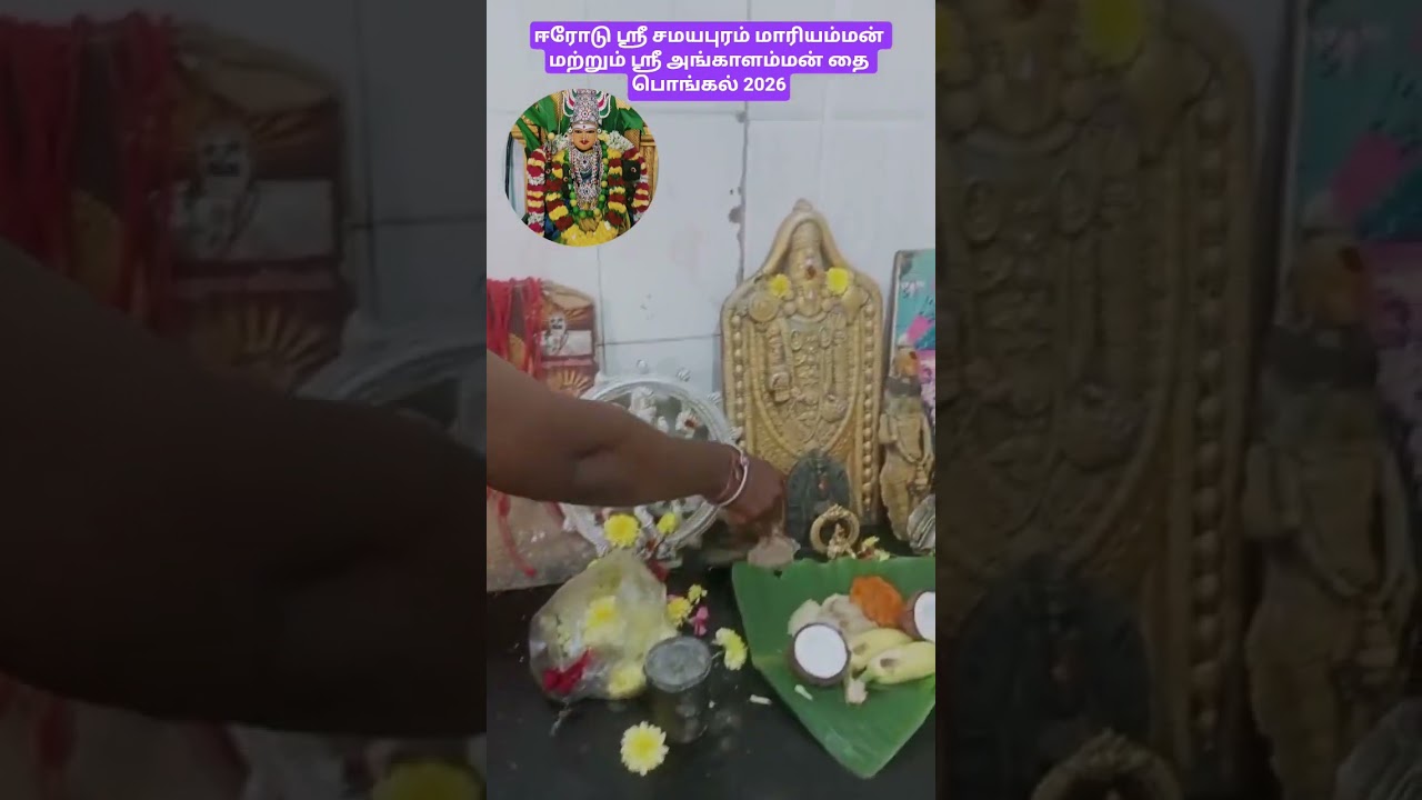 அம்மனுக்கு தை பொங்கல் 