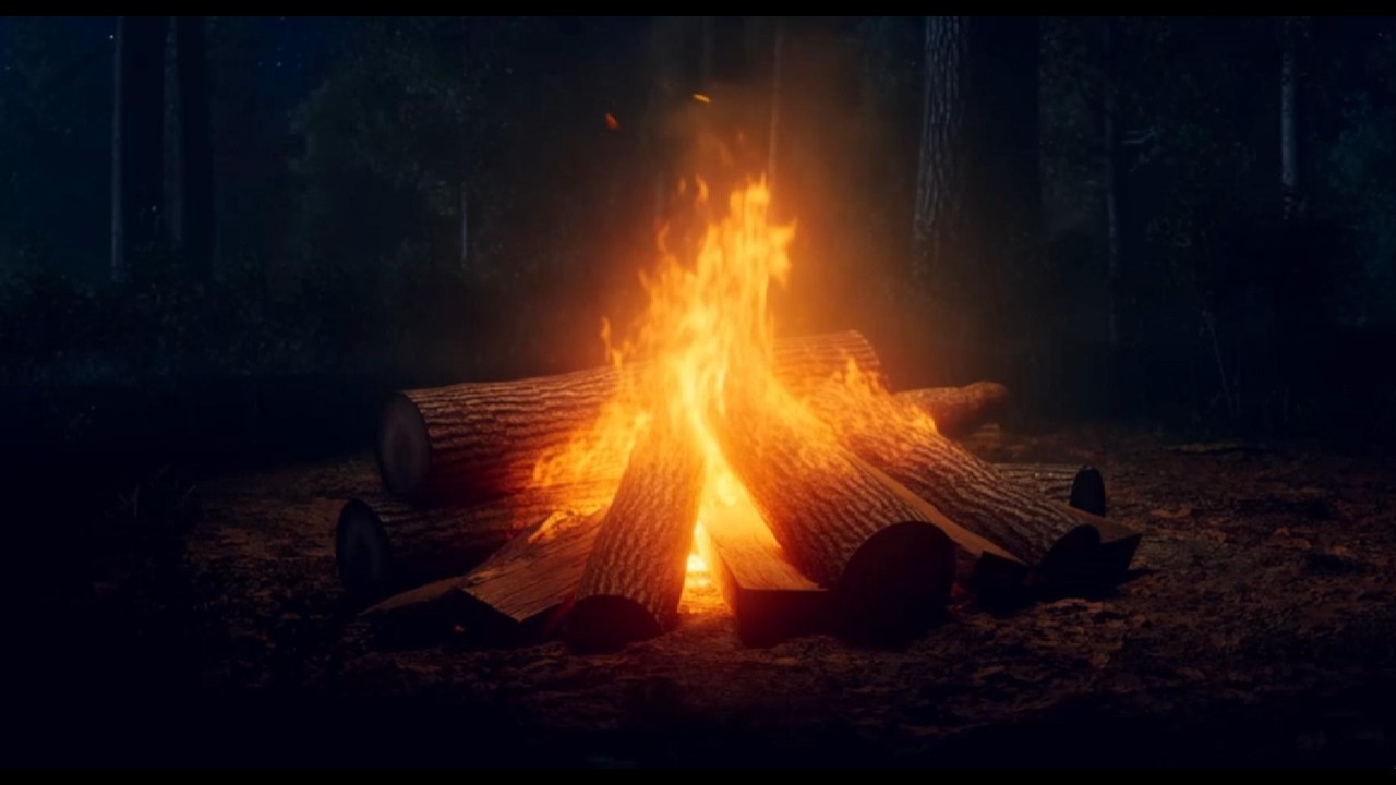 Crackling Campfire in the Forest at Night | Relaxing Fire Sounds for Sleep (8 Hours)