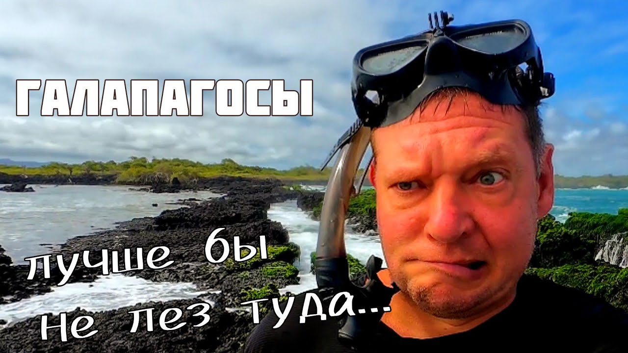 ГАЛАПАГОСЫ! Акул больше чем людей..