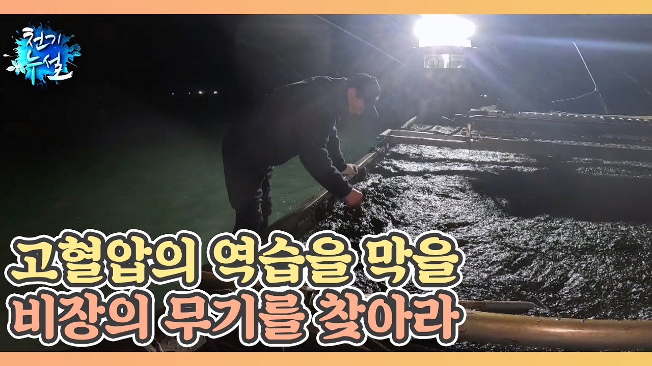 고혈압의 역습을 막을 비장의 무기를 찾아라 MBN 260313 방송