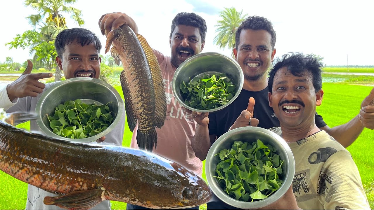 শোল মাছের দারুন স্বাদের স্বাস্থকর এক রান্না | Shol mach recipe bengali village style | village food