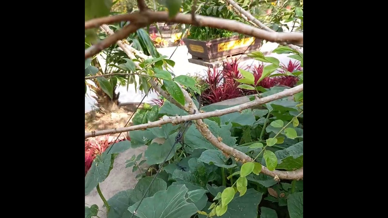 Em mê ngắm em này! Thích lắm!