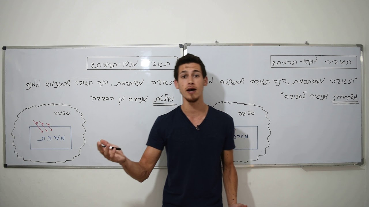 כימיה מושגי יסוד - תגובות אקסותרמיות ואנדותרמיות א