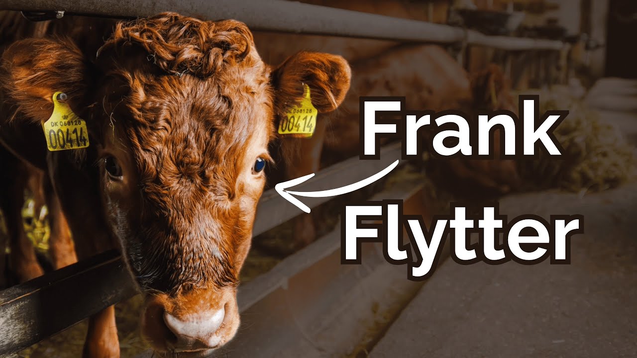Frank flytter hjemmefra og korn flyttes, måske...