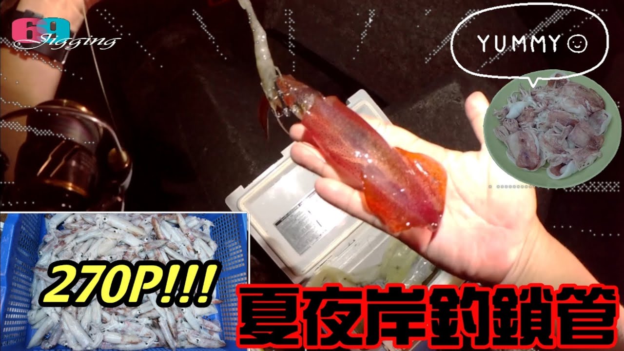 270P!!最夯的西海岸夏夜岸釣鎖管(小卷)來了,本集釣點/釣法/釣況最新分享...一晚釣個200隻不是夢   2022/08/ 台灣69J釣魚俱樂部(69J Fishing Club)