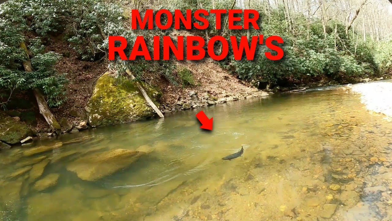 Ловля форели в яме, из которой рождаются мечты | Bigg Fish Landed
