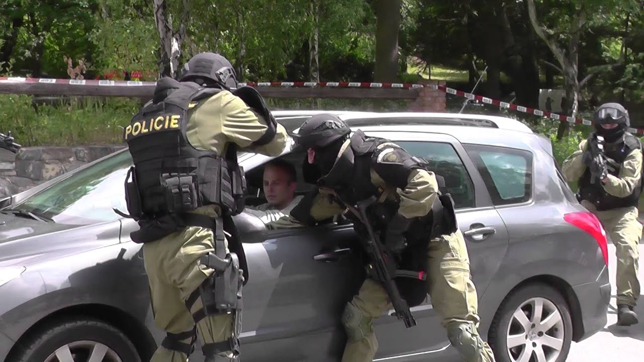 Den Policie 2015 Ostrava - Ukázka činnosti ZJ (2. ukázka)
