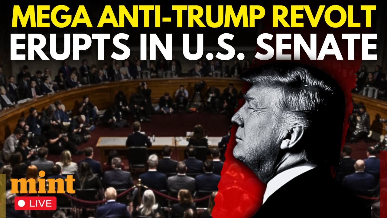 US Senate LIVE: 'That's Bulls**t' Trump Faces Congress Heat To Release Epstein Files | Epstein Hoax