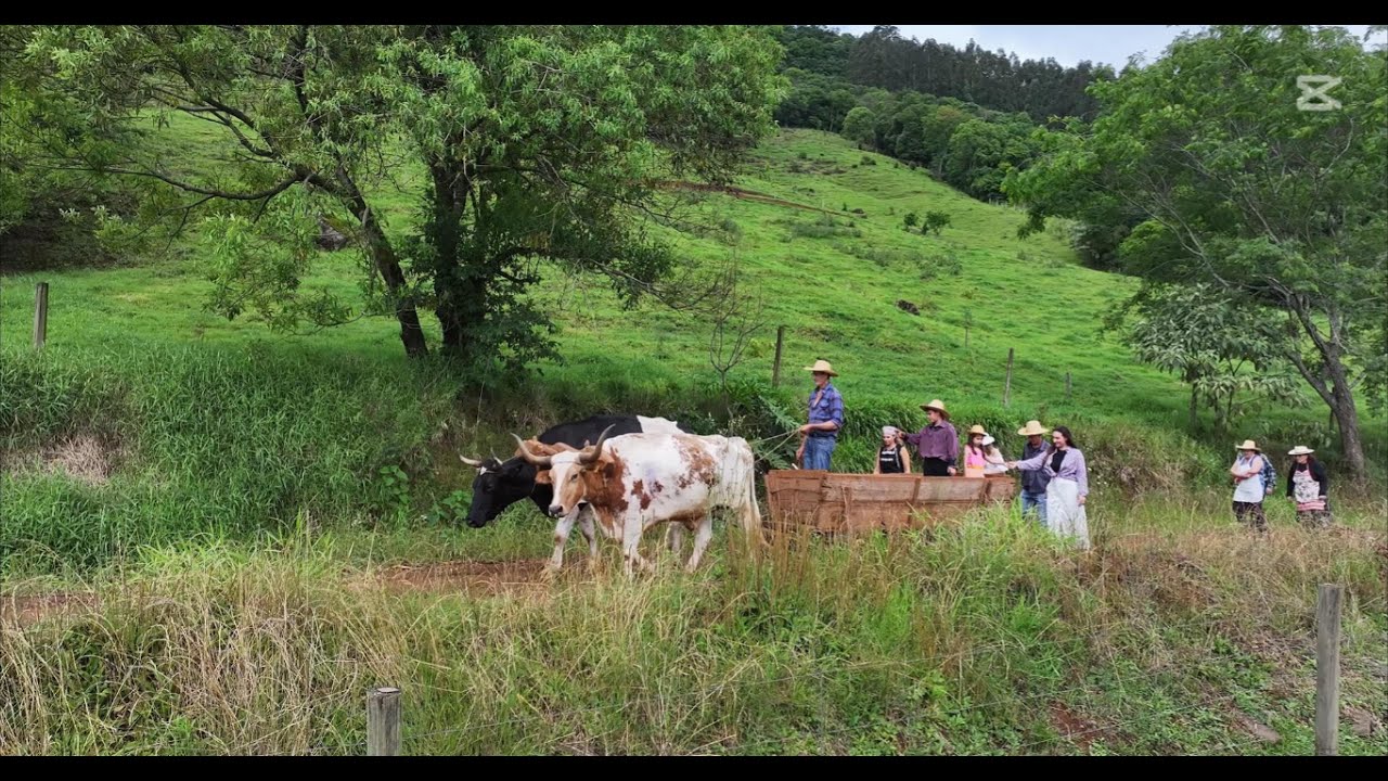 Faxinal dos Guedes - Documentário