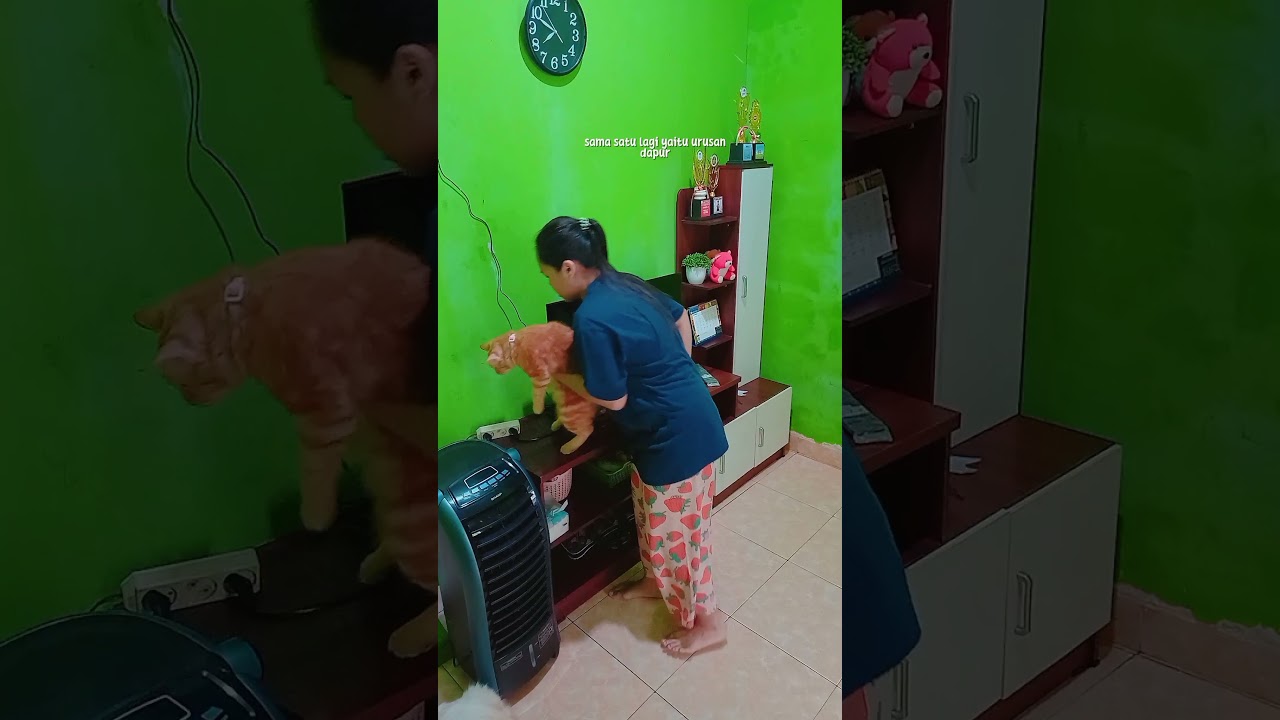 Beberes rumah #vlogirt #bersihbersihrumah #vlogiburumahtangga #rumah #vlogirt #dailyvlog #irt