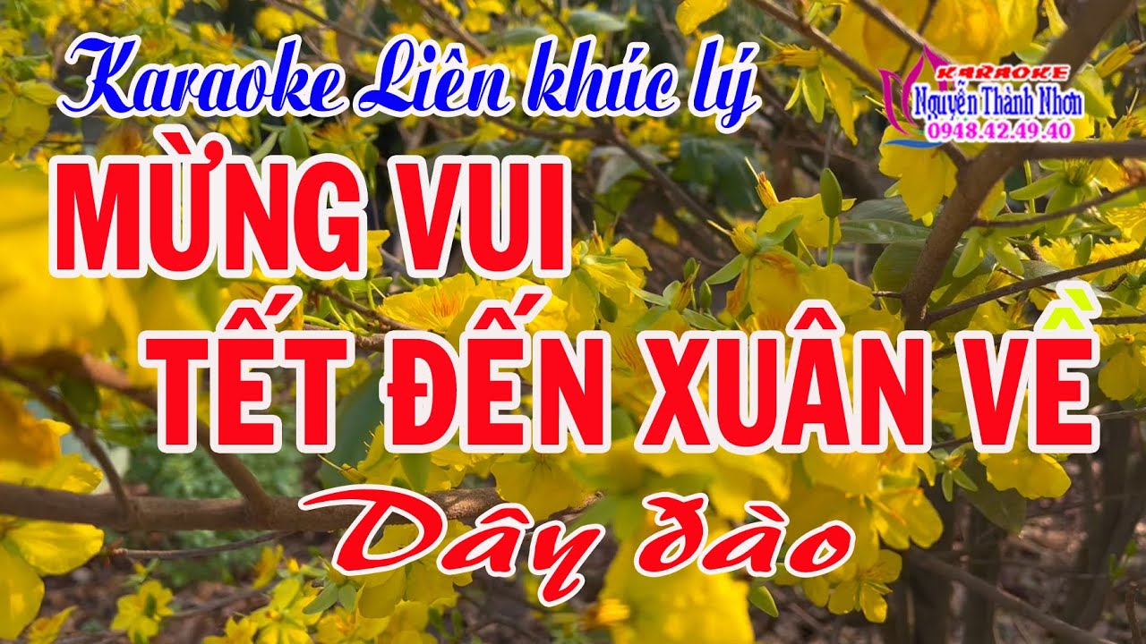 Karaoke liên khúc lý MỪNG VUI TẾT ĐẾN XUÂN VỀ - DÂY ĐÀO [ VKL - ĐKLG - PVĐK ]