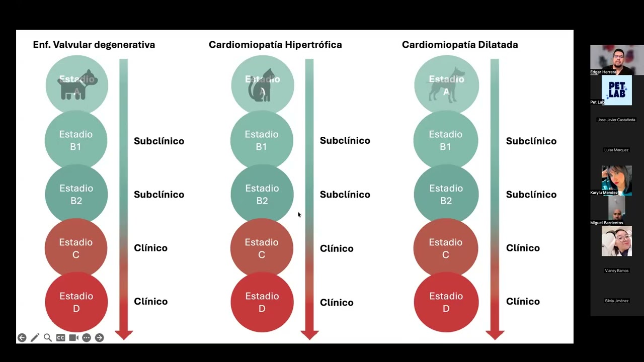 Uso de biomarcadores cardiacos en perros y gatos